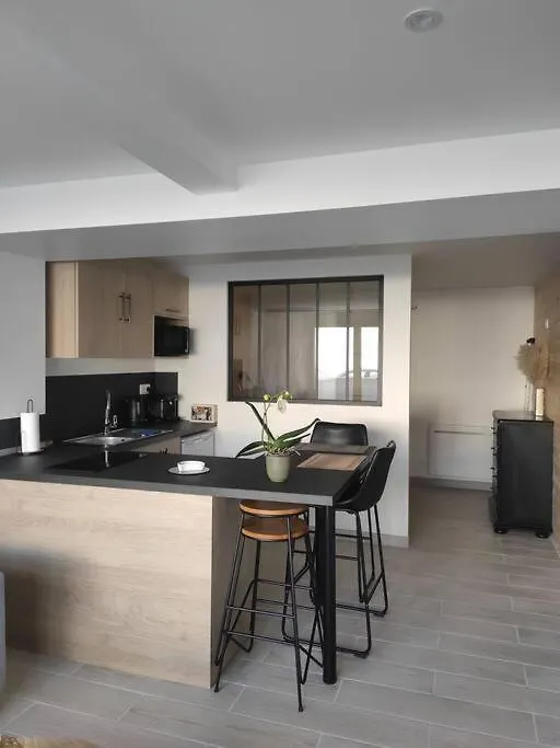 Rez De Jardin Gambetta Apartment Roanne 0*,  France