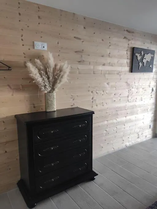 Rez De Jardin Gambetta Apartment Roanne 0*,